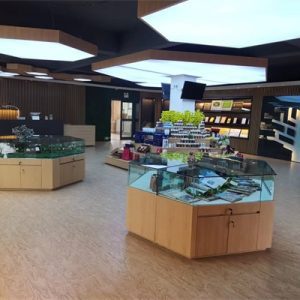 实体店6