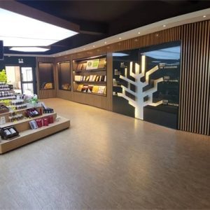 实体店9